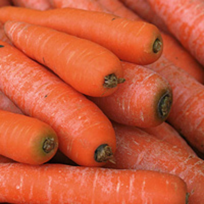 Produktfoto zu 5 kg-Kiste Möhren