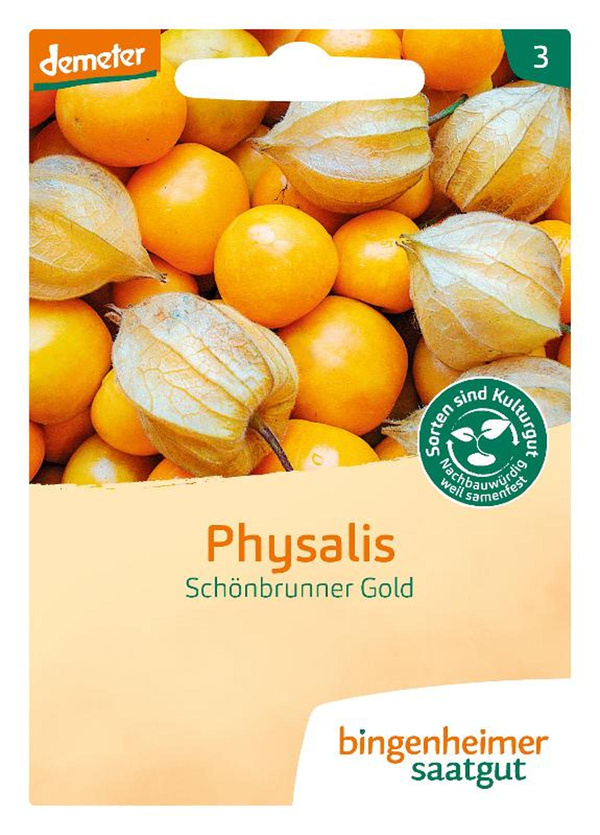 Produktfoto zu NEU Samen: Physalis 'Schönbrunner Gold'
