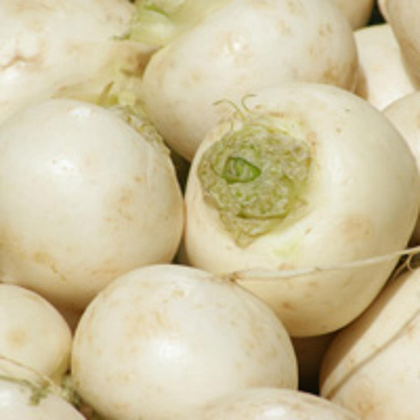 Produktfoto zu Mairübchen