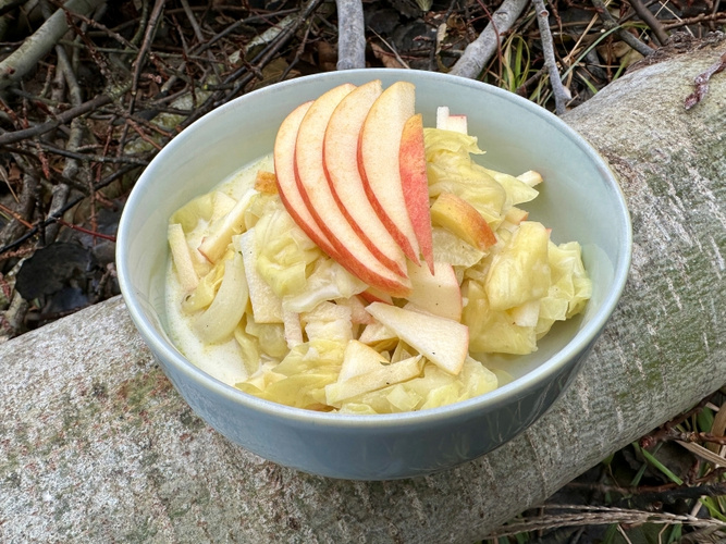 Rezeptbild für Gebrühter Krautsalat mit Äpfeln
