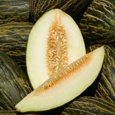 Produktfoto zu Melone Piel de Sapo