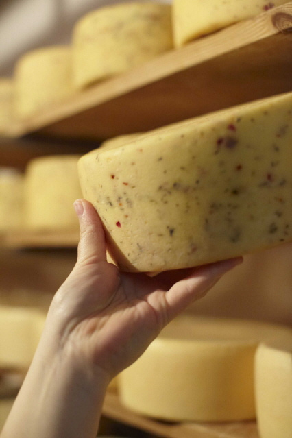 KI generiert: Eine Hand greift nach einem großen Käselaib auf einem hölzernen Regal.