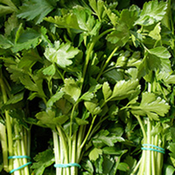 Produktfoto zu Petersilie Bund