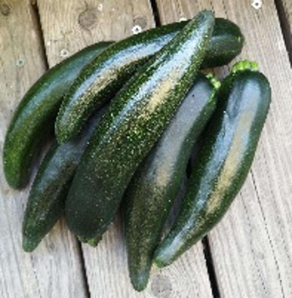 Produktfoto zu Zucchini 2. Wahl regio