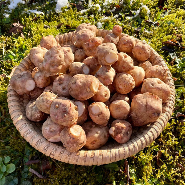 Produktfoto zu Topinambur