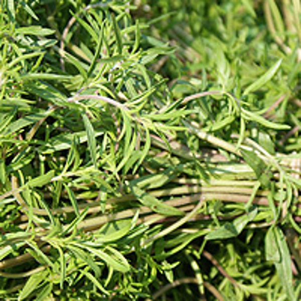 Produktfoto zu Bohnenkrautbund