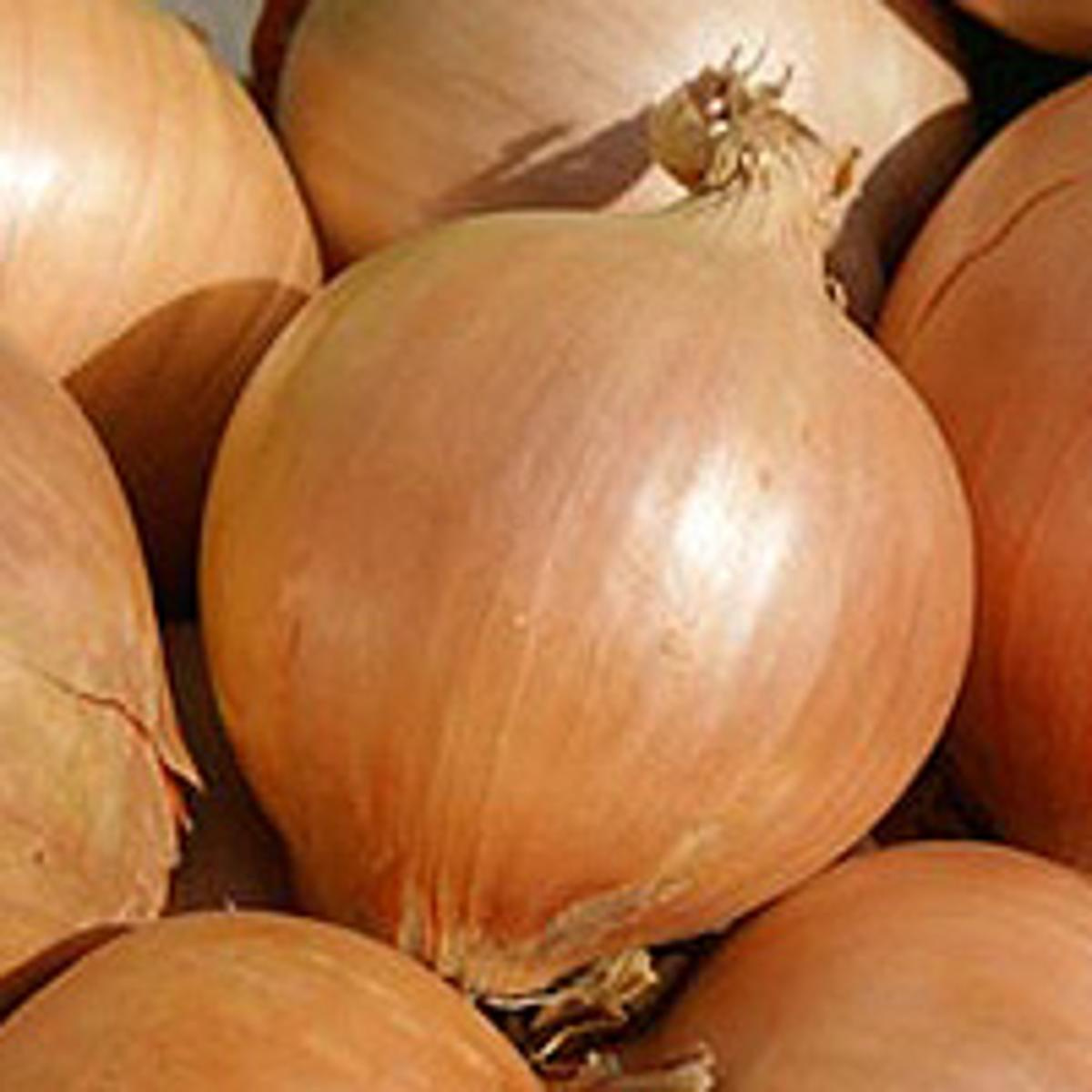 Zwiebeln gelb