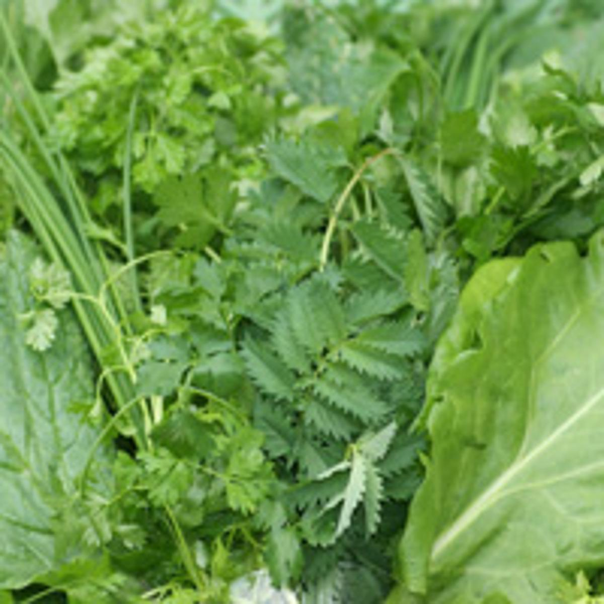 Kräuter grüne Sauce