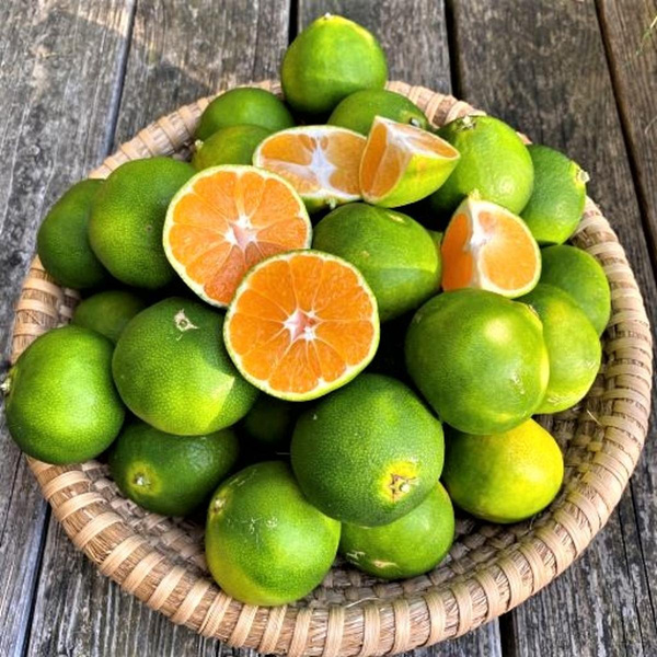 Produktfoto zu Satsumas