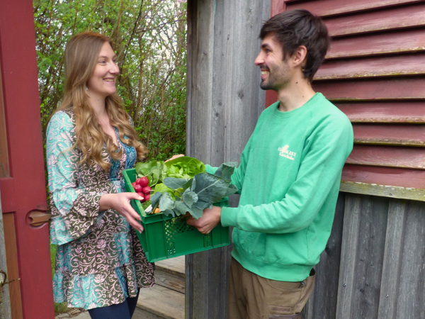 KI generiert: Zwei Personen übergeben eine Kiste mit frischem Gemüse.