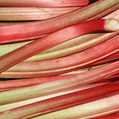 Produktfoto zu Rhabarber