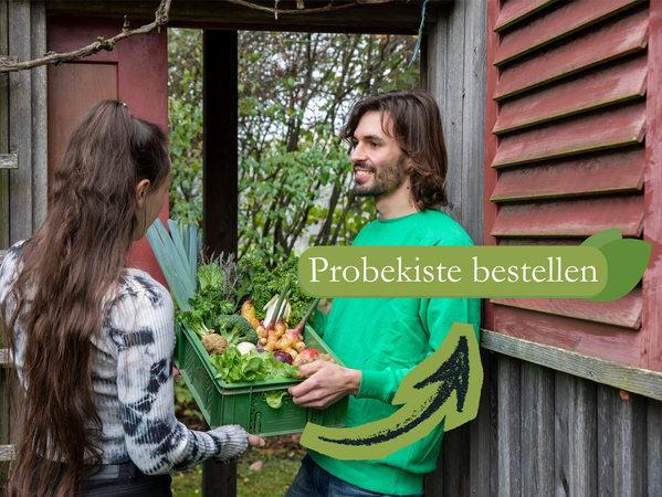 KI generiert: Ein Mann übergibt einer Frau eine Gemüsekiste. Text: "Probierkiste bestellen".