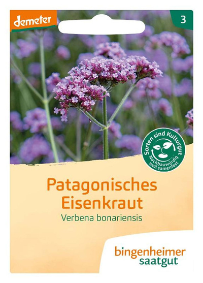 Produktfoto zu NEU: Samen: Patagonisches Eisenkraut (Verbena bonariensis)