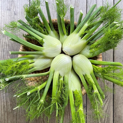 Produktfoto zu Fenchel