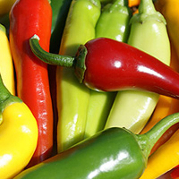 Produktfoto zu Peperoni mittelscharf rot