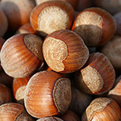 Produktfoto zu Haselnüsse lose