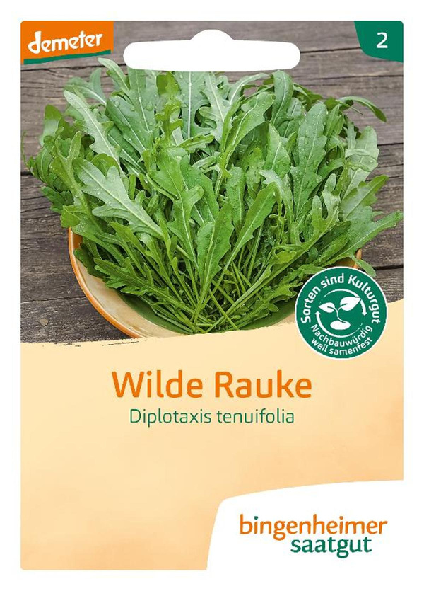 Produktfoto zu Samen: Wilde Rauke (Rucola) - mehrjährige Wildform!