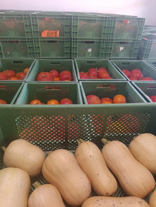 KI-generierte Beschreibung: Das Bild zeigt eine Gemüseauslage mit Kartoffeln und Tomaten in einer Ökokiste.