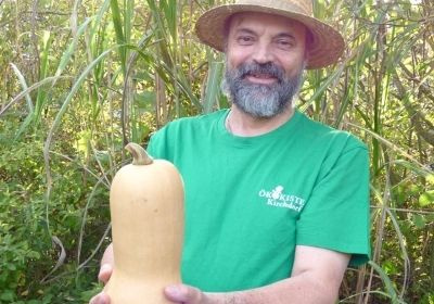 KI generiert: Ein Mann mit Strohhut hält einen Kürbis vor Pflanzen. Sein T-Shirt zeigt "Ökokiste Kirchdorf".