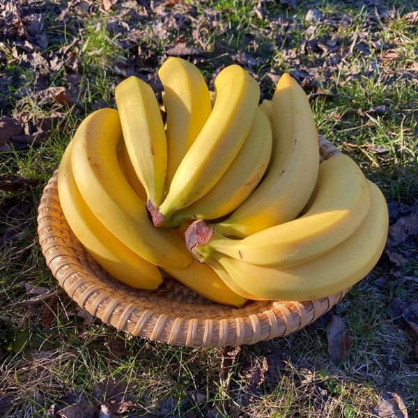 Produktfoto zu Bananen
