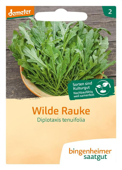 Produktfoto zu Samen: Wilde Rauke (Rucola) - mehrjährige Wildform!