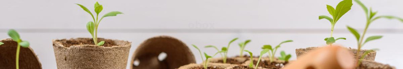 Natürlich Gärtnern