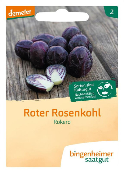 Produktfoto zu Samen: Roter Rosenkohl 'Rokero'