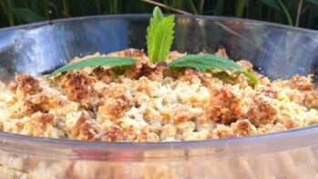 Rezeptbild für Rhabarber-Crumble