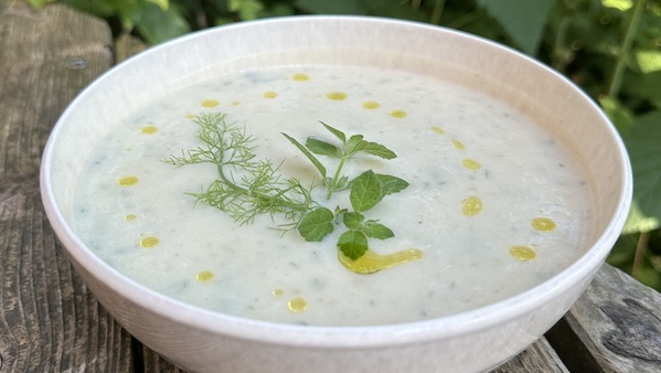 Rezeptbild für Gekühlte Fenchel-Suppe