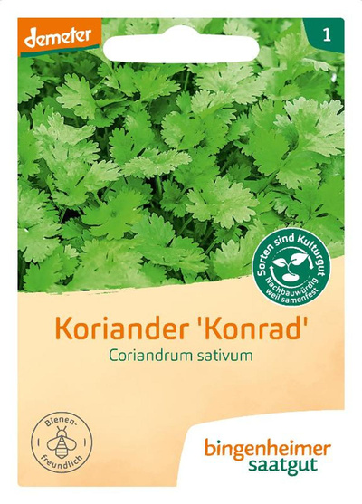 Produktfoto zu Samen: Koriander
