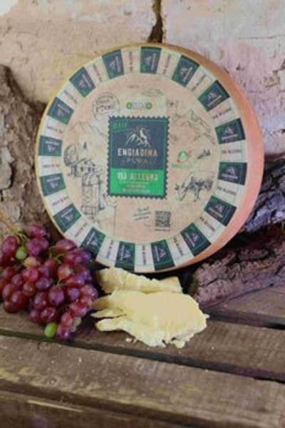 Produktfoto zu Via Allegra -  9 Monate gereift