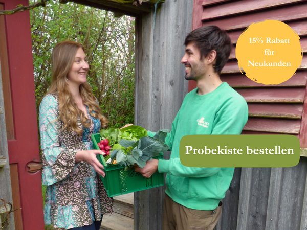 KI generiert: Eine Frau erhält eine Gemüsekiste von einem Lieferanten. Text: "15% Rabatt für Neukunden" und "Probierkiste bestellen".