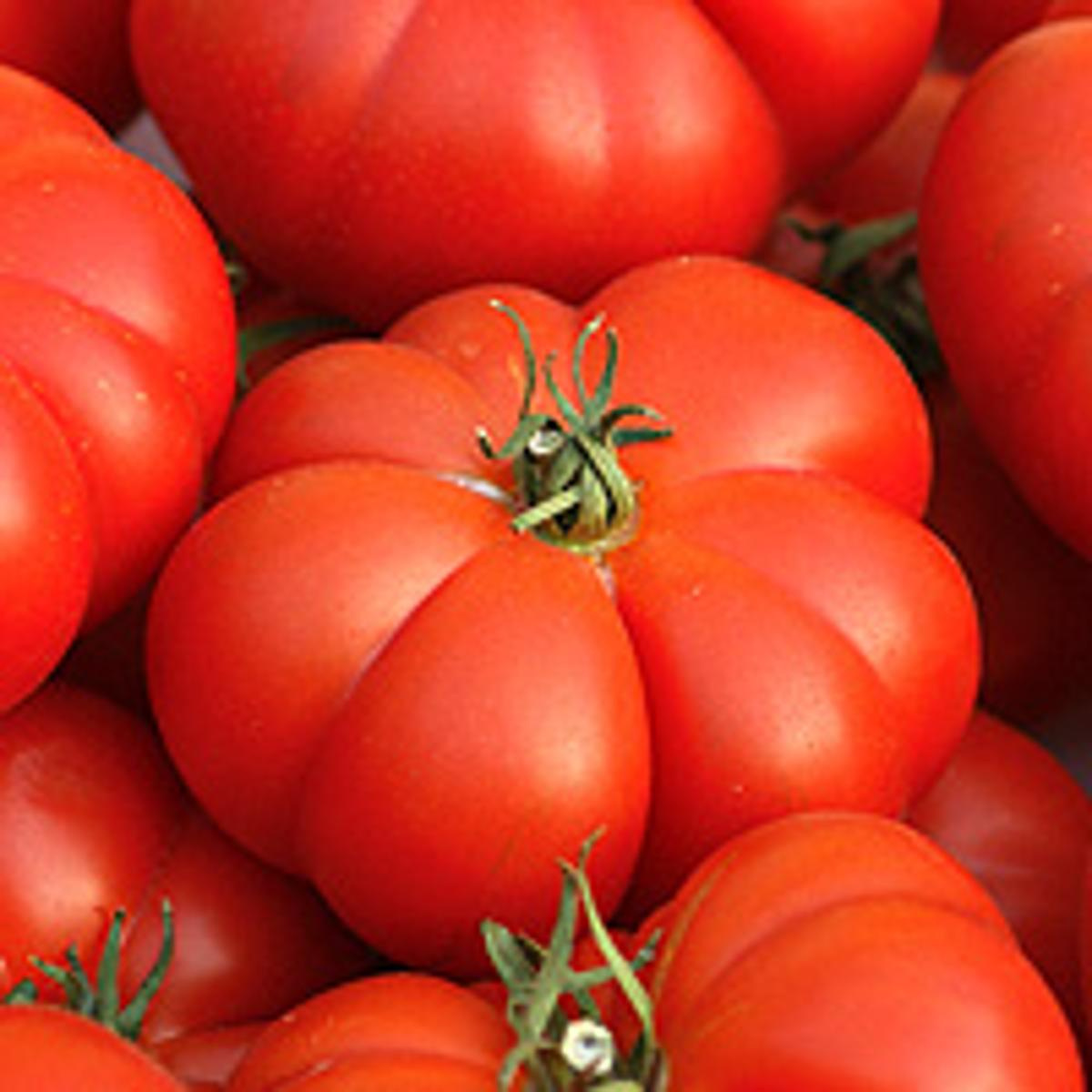 Tomaten Ochsenherz regio