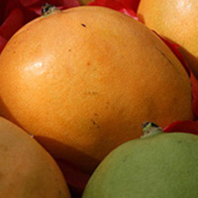 Produktfoto zu Mango
