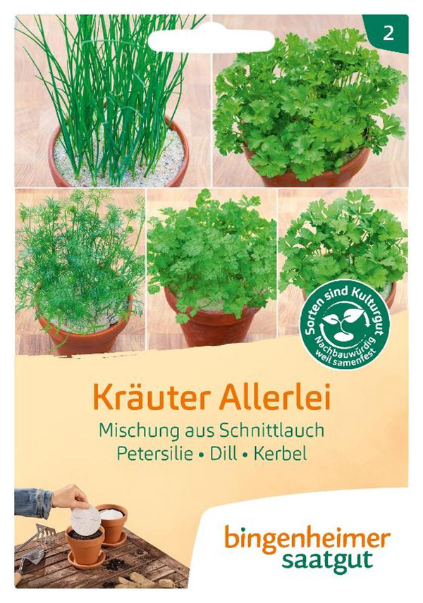 Produktfoto zu Samen: Küchen Kräuter Allerlei