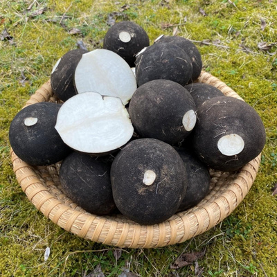 Produktfoto zu Schwarzer Rettich