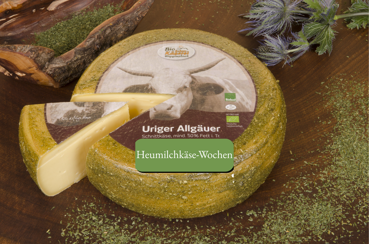 KI generiert: Ein runder Käse namens "U­riger Allgäuer" auf Holz, Text: "Heumilchkäse-Wochen".