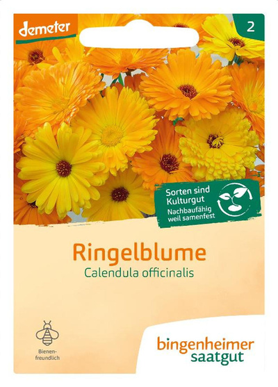 Produktfoto zu Samen: Ringelblume