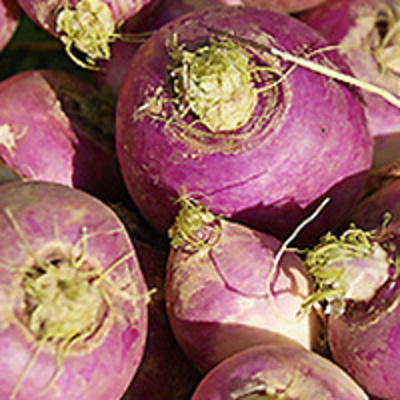 Produktfoto zu Navetrübchen